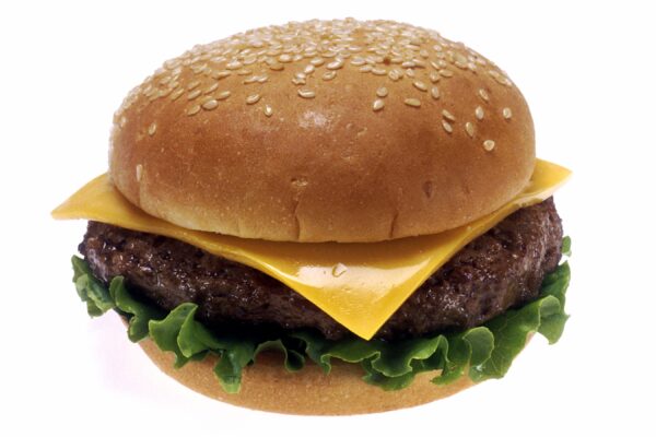 Double Patty Cheese Burger 🍔